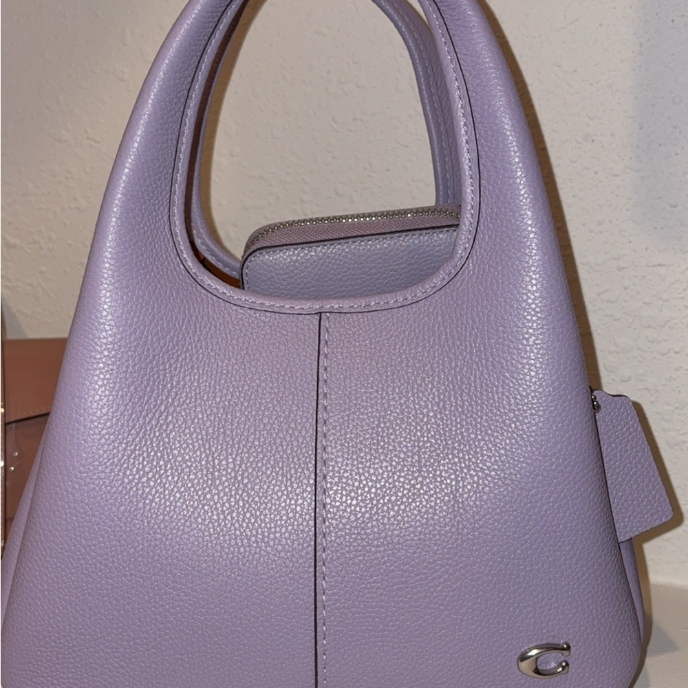 (Authentic) coach bag with matching shoes wallet